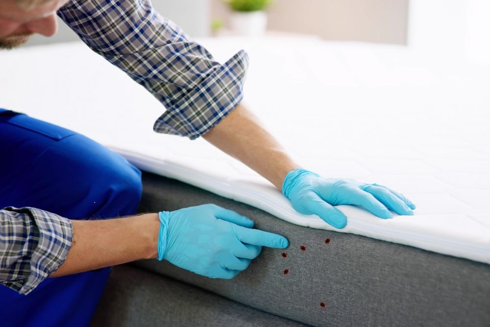 A man in blue gloves is setting a mattress on a bed for a bed bug control service in San Francisco, CA.